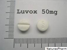 Luvox buy online